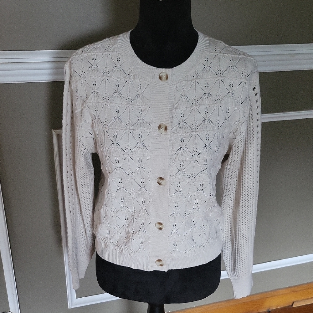 Current Air Women's Elegant Cream Button-Up Sweater Size Medium